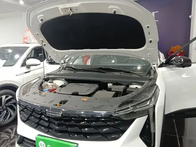 Geely Boyue — Фото автомобиля 19