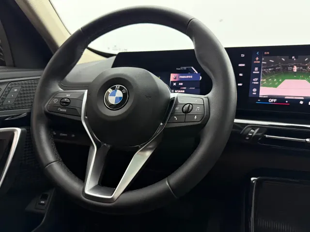 BMW X1 — Фото автомобиля 9