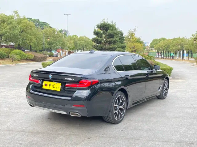 BMW 5 Series — Фото автомобиля 9