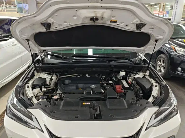 Lexus NX — Фото автомобиля 19
