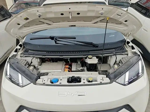BYD Seagull — Фото автомобиля 19