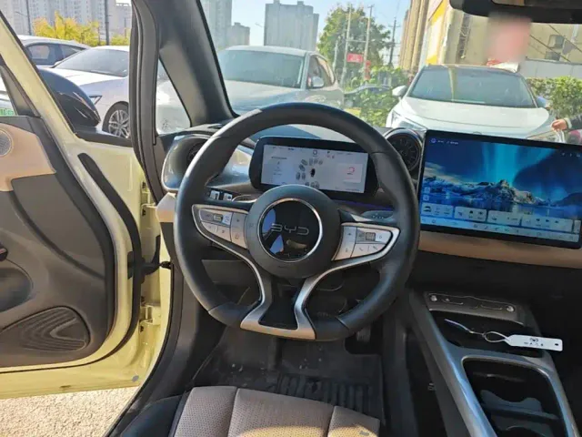 BYD Dolphin — Фото автомобиля 10