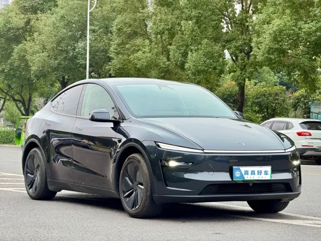 Tesla Model Y — Фото автомобиля 3