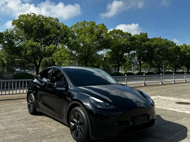 Tesla Model Y — Фото автомобиля 2