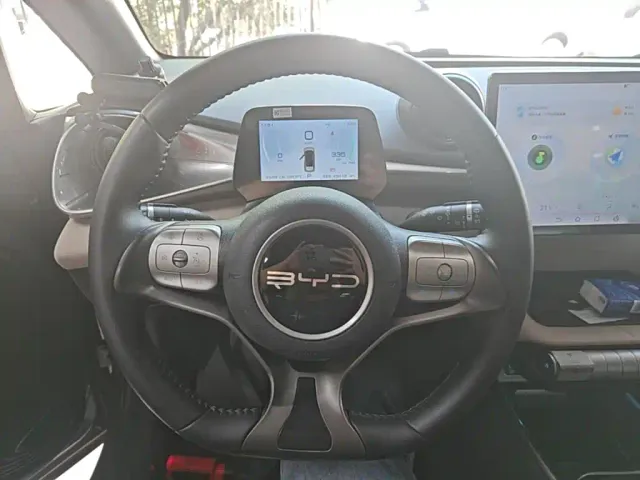 BYD Dolphin — Фото автомобиля 10
