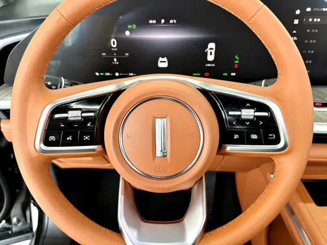 Wey Lanshan — Фото автомобиля 8