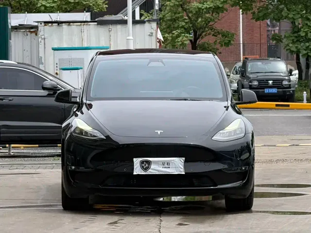 Tesla Model Y — Фото автомобиля 2