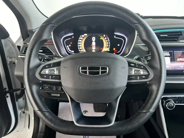 Geely Binrui — Фото автомобиля 12