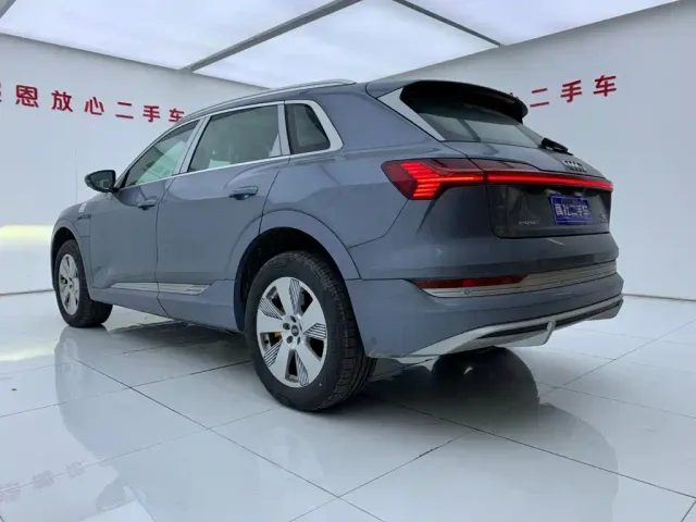 Audi e-tron — Фото автомобиля 6