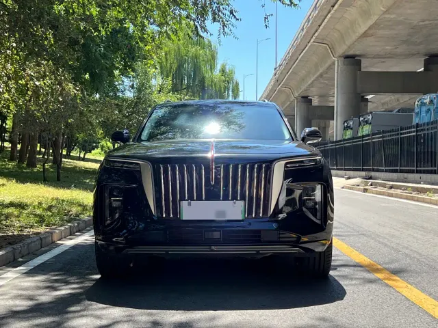 Hongqi E-HS9 — Фото автомобиля 2