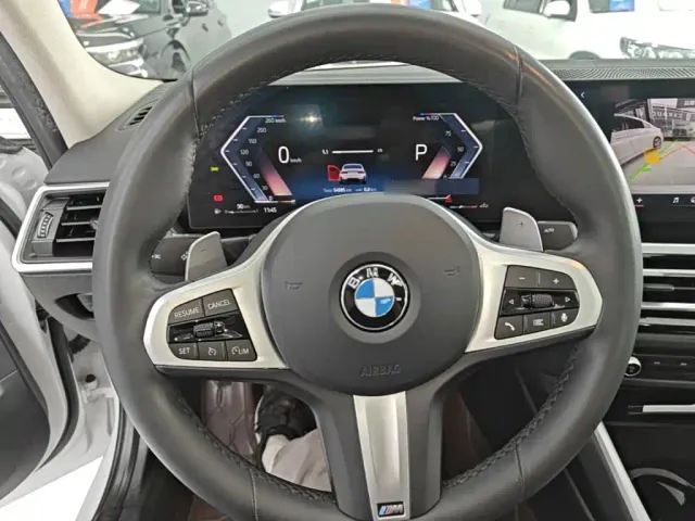 BMW 3 Series — Фото автомобиля 10