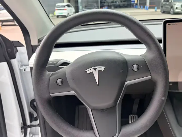 Tesla Model Y — Фото автомобиля 11