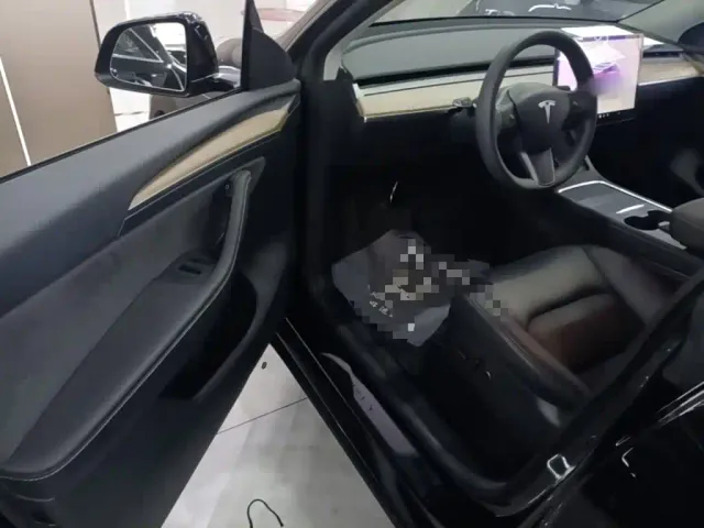 Tesla Model Y — Фото автомобиля 15