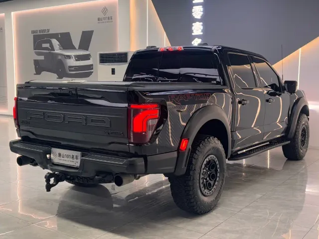 Ford F-150 Raptor — Фото автомобиля 8