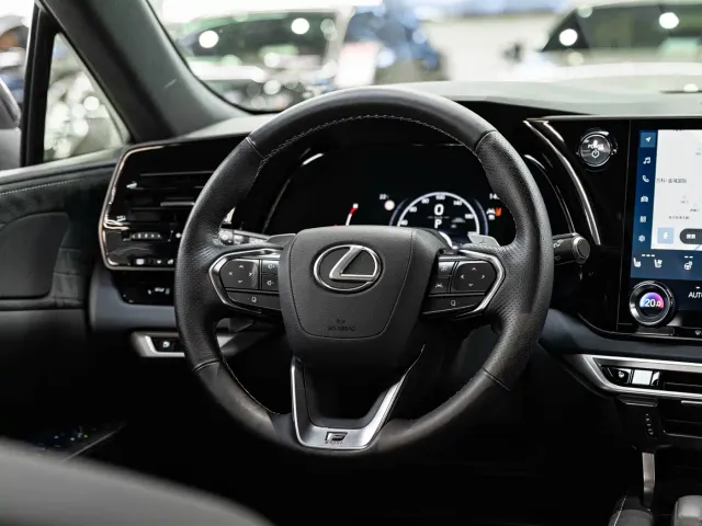 Lexus RX — Фото автомобиля 14