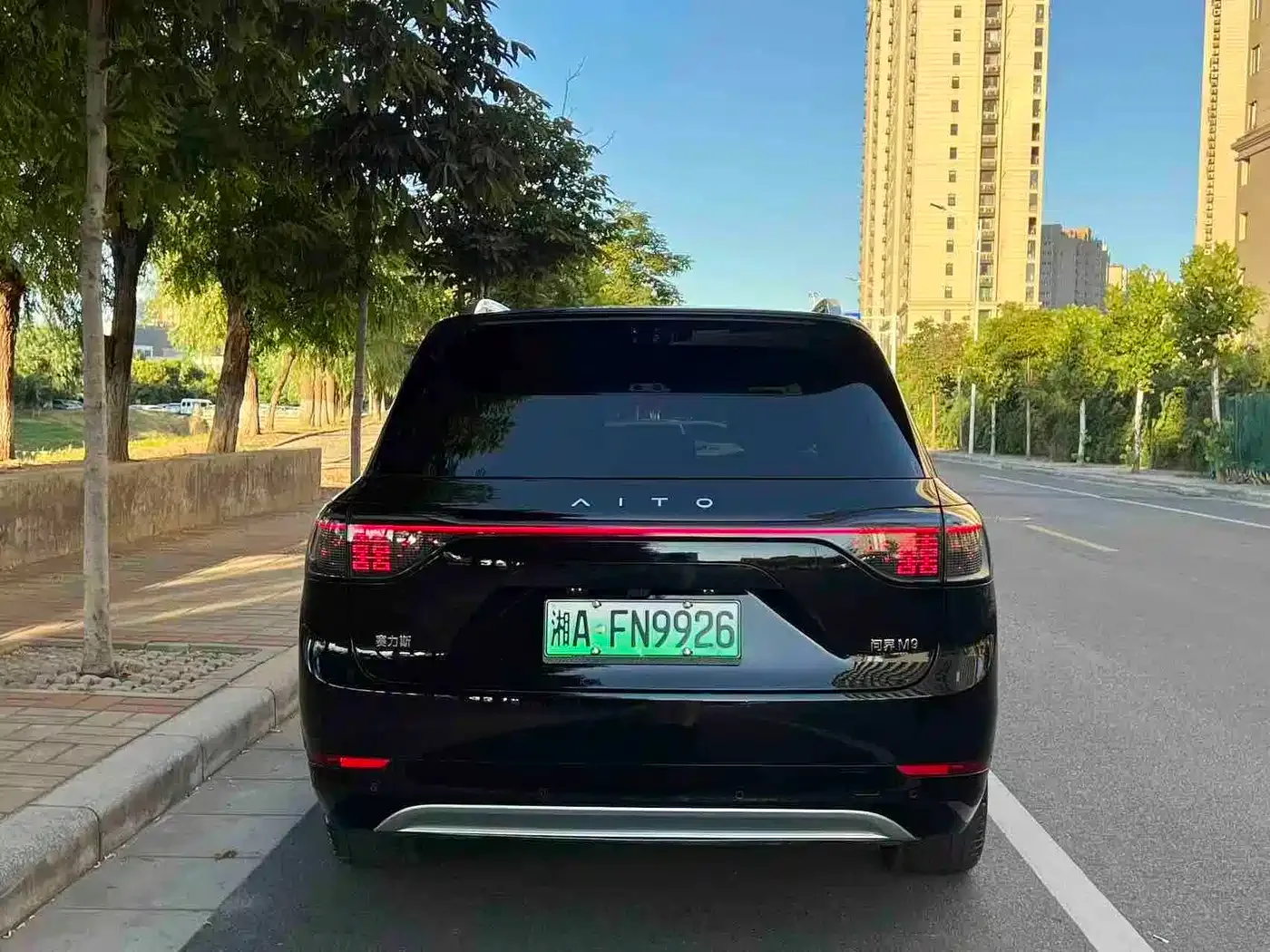 AITO Wenjie AITO M9 2025 Range Extender Max 52kWh 5-Seater — Фото автомобиля 8