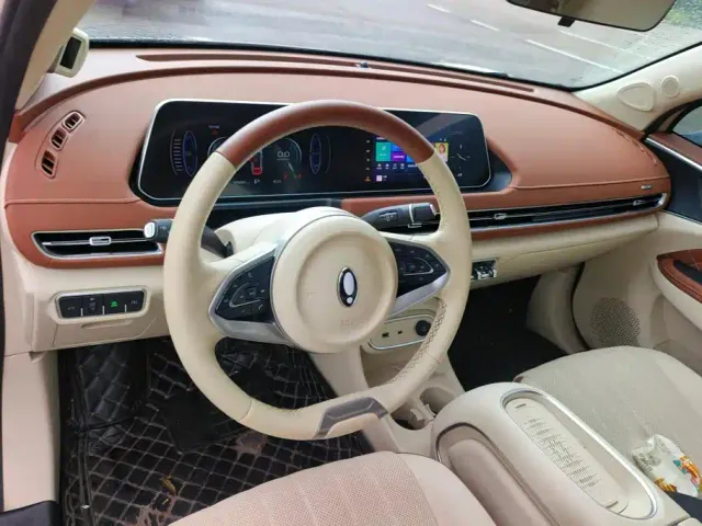 Ora Good Cat — Фото автомобиля 12
