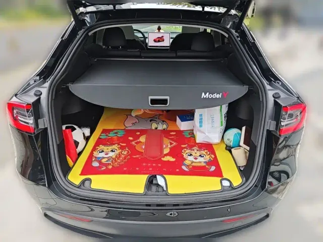 Tesla Model Y — Фото автомобиля 20