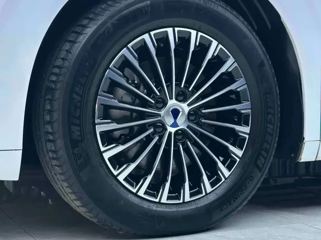 Denza D9 — Фото автомобиля 3