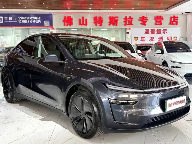 Tesla Model Y — Фото автомобиля 2