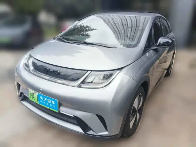 Фотография автомобиля — BYD Dolphin