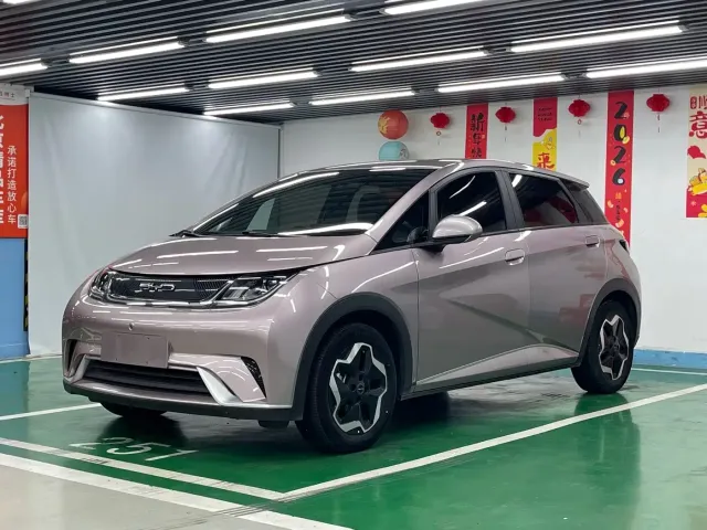 Фотография автомобиля — BYD Dolphin