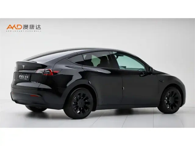 Tesla Model Y — Фото автомобиля 3
