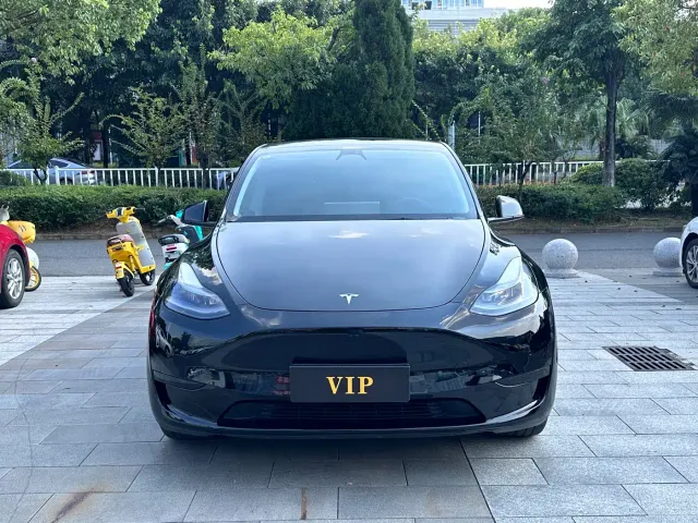 Tesla Model Y — Фото автомобиля 2