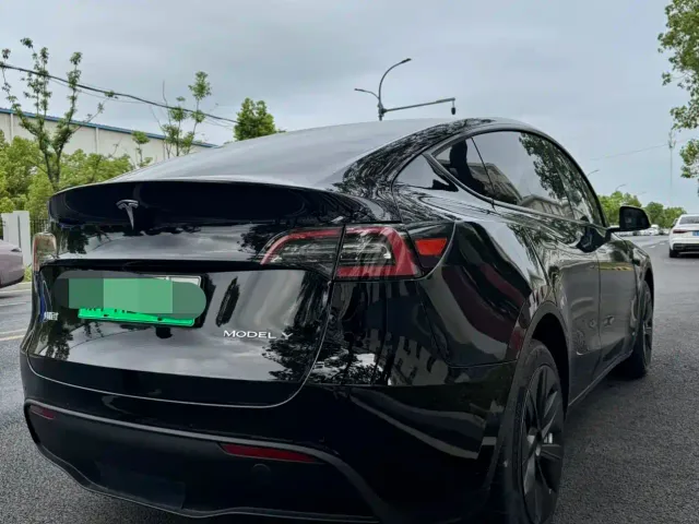 Tesla Model Y — Фото автомобиля 11