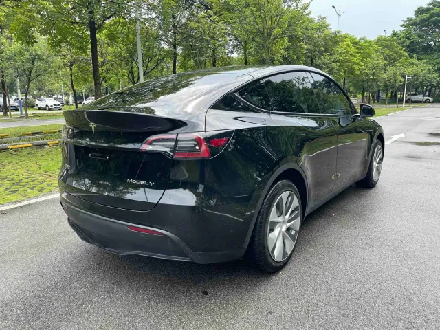 Tesla Model Y — Фото автомобиля 6
