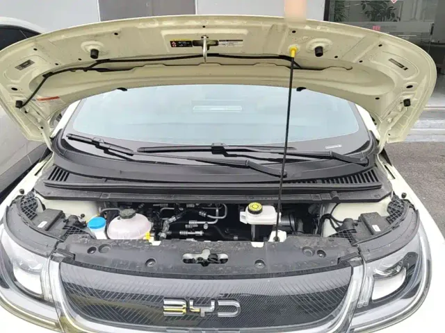 BYD Dolphin — Фото автомобиля 19