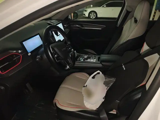 BYD Destroyer 05 2022 DM-i 55KM Premium — Фото автомобиля 16