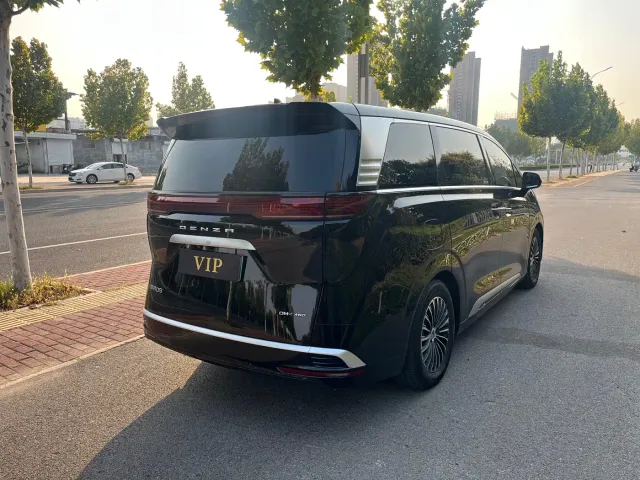 Denza D9 — Фото автомобиля 7
