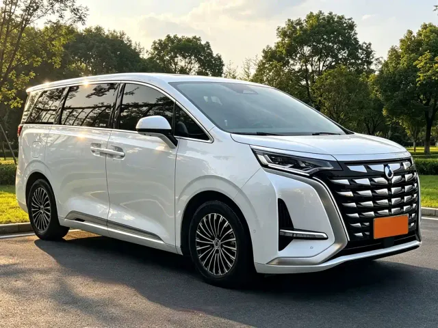Denza D9 — Фото автомобиля 3