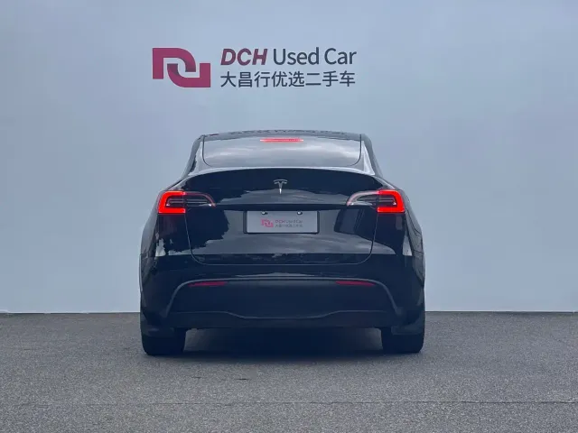 Tesla Model Y — Фото автомобиля 3