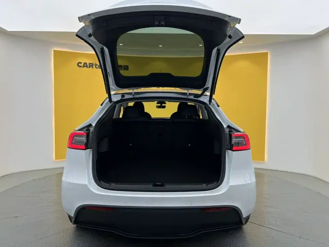 Tesla Model Y — Фото автомобиля 12