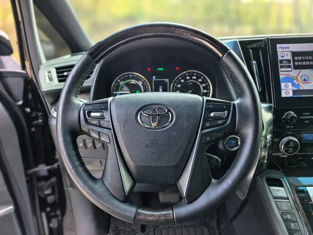 Toyota Alphard — Фото автомобиля 20