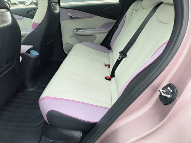 BYD Dolphin — Фото автомобиля 16