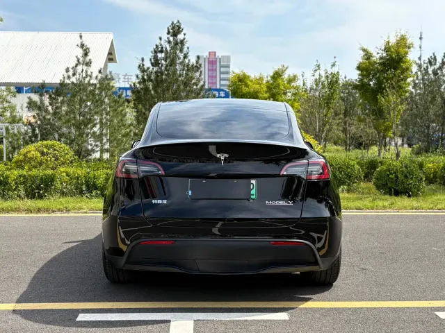 Tesla Model Y — Фото автомобиля 4