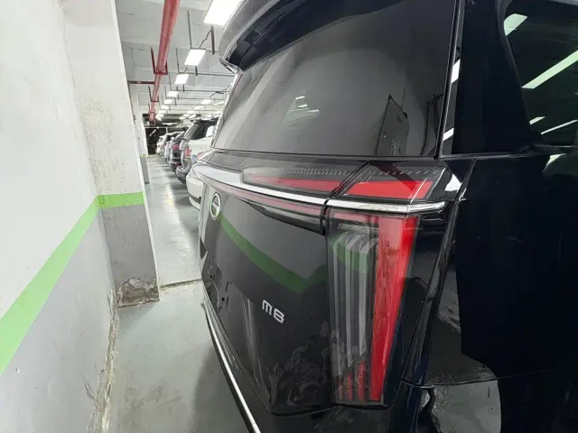 GAC Trumpchi M8 — Фото автомобиля 16