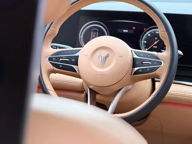 Voyah Auto Voyah Dreamer 2022 Low Carbon Edition Home — Фото автомобиля 11