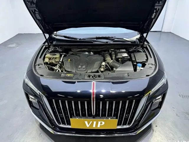 Hongqi H5 — Фото автомобиля 7