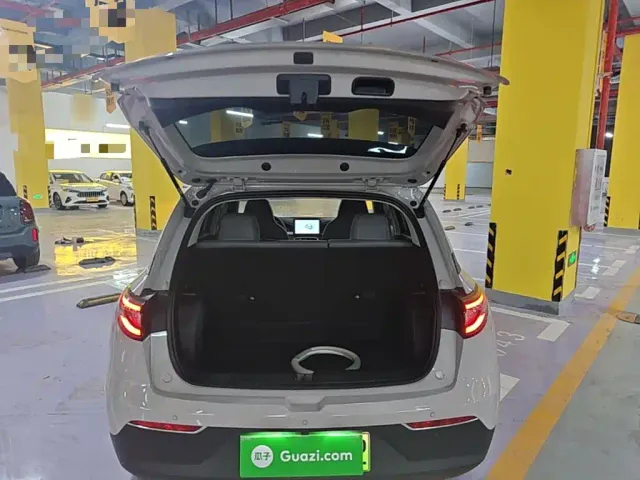 Geely Starry Wish — Фото автомобиля 18