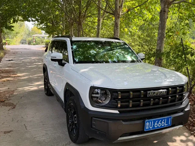 Haval Cool Dog — Фото автомобиля 3