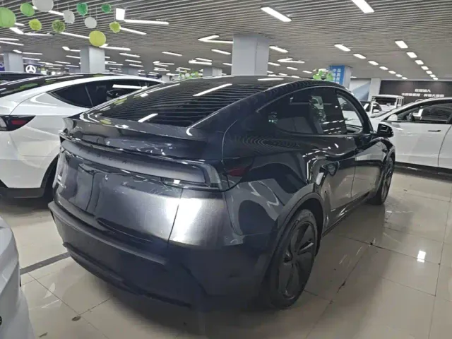 Tesla Model Y — Фото автомобиля 6