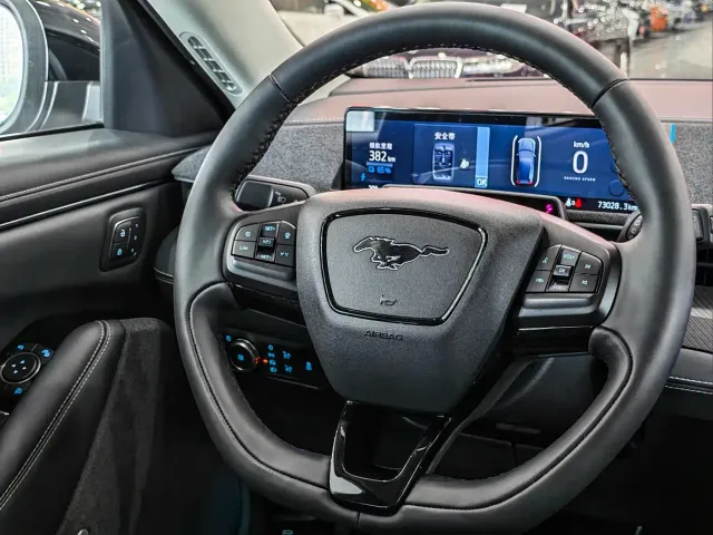 Ford Mustang Mach-E — Фото автомобиля 6