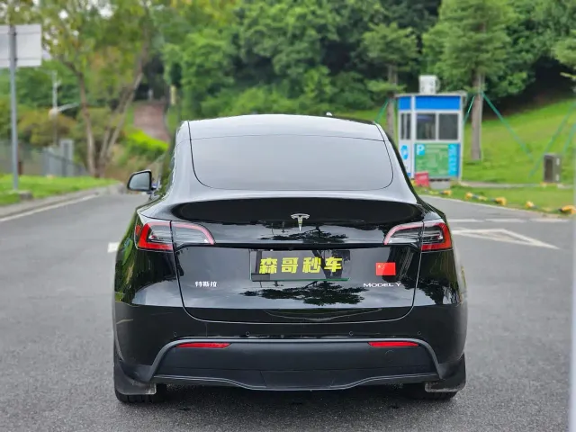 Tesla Model Y — Фото автомобиля 7
