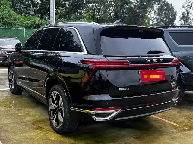 Wey Lanshan — Фото автомобиля 13