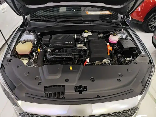 BYD Qin PLUS — Фото автомобиля 19
