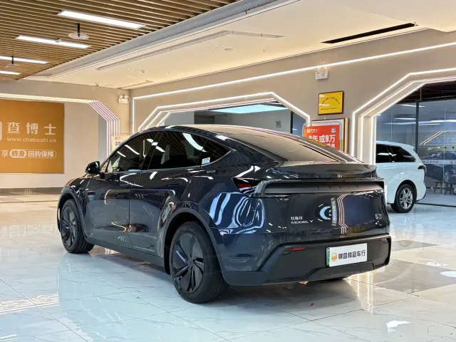 Tesla Model Y — Фото автомобиля 3